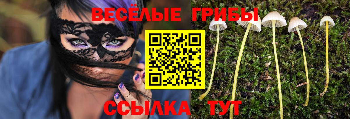 Псилоцибиновые грибы Cubensis Гусев