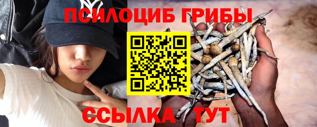 Гусев  наркошоп  Вход с VPN  Псилоцибиновые грибы прущие грибы 